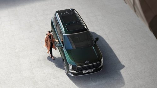 gallery-06-woman-standing-palisade